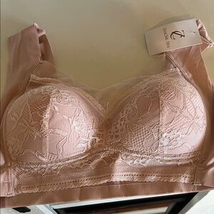 chic Blush Lace Bralette with Sheer Mesh Panels